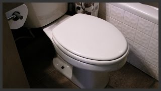 How to fix a loose toilet seat [upl. by Anilocin]