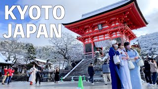 【4K】Snowy Winter Kyoto Walking Tour  JAPAN 2023 [upl. by Neelyad]