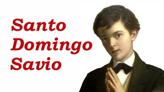 ➤ ¿Quién fue Santo Domingo Savio ✔ [upl. by Fosdick135]