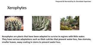 Chapter 71 Transport in Plants [upl. by Bartel]