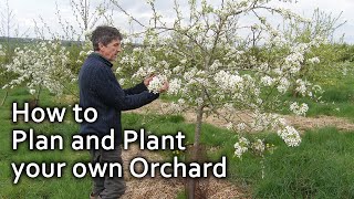 How to Plan and Plant your own Orchard [upl. by Rooker]