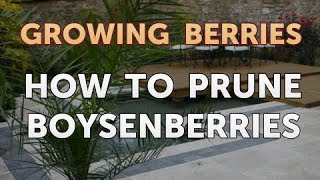 How to Prune Boysenberries [upl. by Nixie]