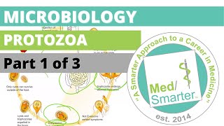 Protozoa  Microbiology  USMLE STEP 1  Part 1 of 3 [upl. by Panther]