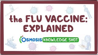 The flu vaccine explained [upl. by Munster]