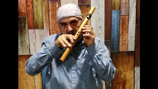 How to Play the Native American Flute in under 10 minutes EASY Lesson 1 [upl. by Peterman12]