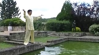 Les 18 exercices du Tai Ji Qi Gong [upl. by Ross442]