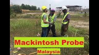 Mackintosh probe test procedure in Malaysia [upl. by Kalvn]