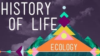 The History of Life on Earth  Crash Course Ecology 1 [upl. by Fina]