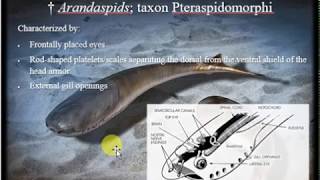 History of Life Pt 2 Paleozoic Era  Ordovician through Permian Periods [upl. by Atihana]