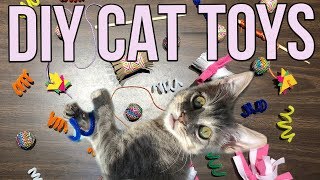 5 Easy Cat Toys Kids Can Make at Home [upl. by Crissy]