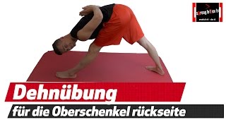 Oberschenkelrückseite dehnen  MEGA effektive Übung [upl. by Eisned]