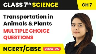 Transportation in Animals and Plants  Multiple Choice Questions  Class 7 Science Ch 7  CBSE 2024 [upl. by Burhans]