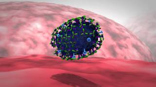 Influenza Get the Antigenic Drift [upl. by Satterlee210]