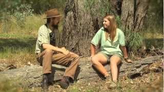 Bush stonecurlews  with Dr Dave [upl. by Rehnberg499]