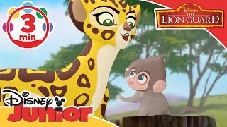 The Lion Guard  Baboon Song  Disney Junior UK [upl. by Ailin]