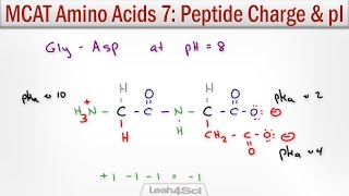 How to Calculate Peptide Charge and Isoelectric Point MCAT Trick [upl. by Guimond708]