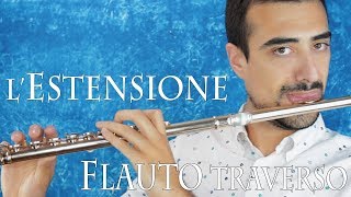 FLAUTO TRAVERSO  lestensione dello strumento [upl. by Ian228]