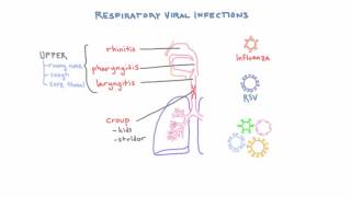 Respiratory Viruses  Clinical Presentations and Diagnosis [upl. by Nagyam]