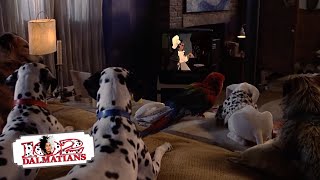 Date Night Lady amp The Tramp  315 Movie Scenes  102 Dalmatians 2000 HD [upl. by Tina]