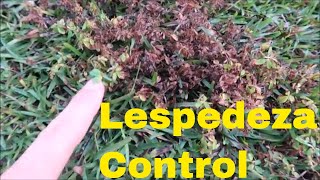 Weed Control for Lespedeza in the Lawn [upl. by Fons]