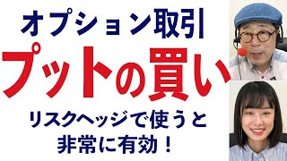 ＜オプション取引＞プットの買いを勉強しよう  リスクヘッジで使うのがおすすめ【講師からの提言】148限目 [upl. by Aita]