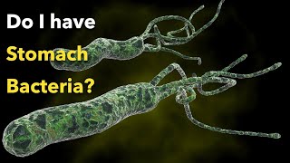 What are bacteria  Science for Kids [upl. by Haziza]