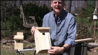 How to Build Blue Bird House [upl. by Anneuq]