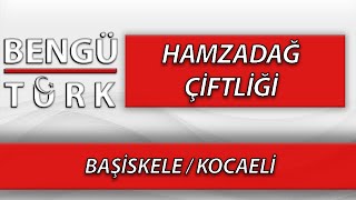 HAMZADAĞ ÇİFTLİĞİ  BAŞİSKELEKOCAELİ [upl. by Venetia]