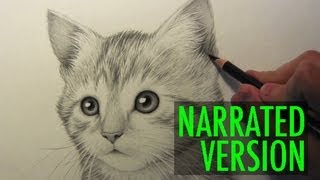 How to Draw a Kitten Narrated Step by Step [upl. by Greenland843]