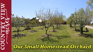 Homestead Orchard Spring Walk Through [upl. by Bovill523]