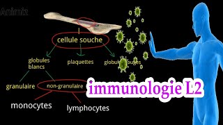 introduction a limmunologie système immunitaire L2 بالعربية [upl. by Htebazileharas509]