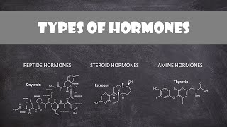 Types of Hormones  Human Physiology [upl. by Eimmot]